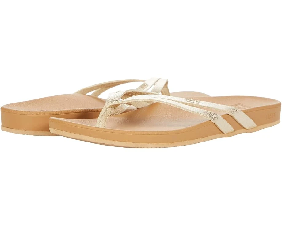 Reef Cushion Spring Joy 1 Reef Cushion Spring Joy