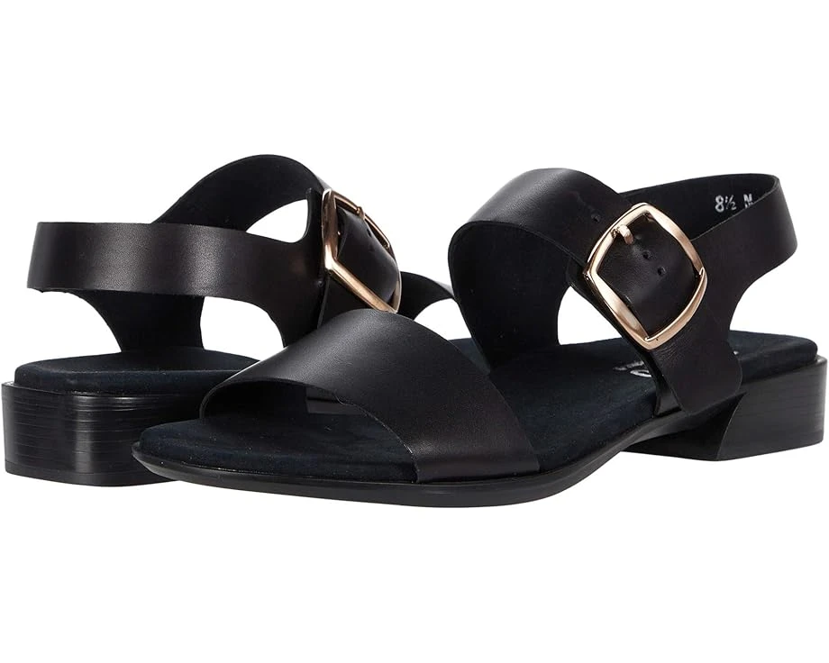 Munro Cleo 1 Munro Cleo