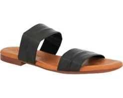 Unity In Diversity Aguanis